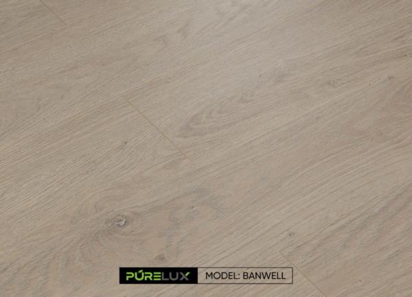 Banwell - Image 3