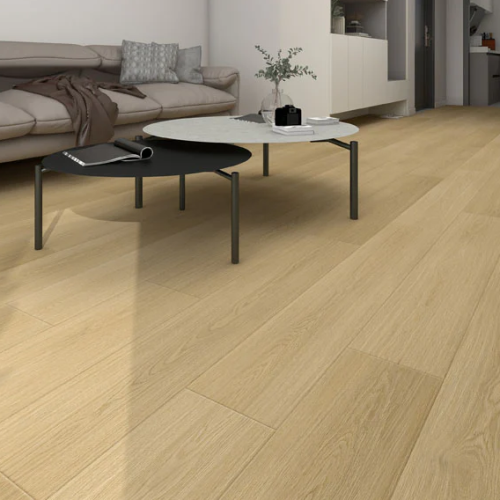 Monet AE1201 floor